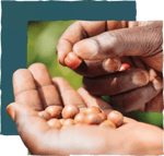 whoweare responsibility beans